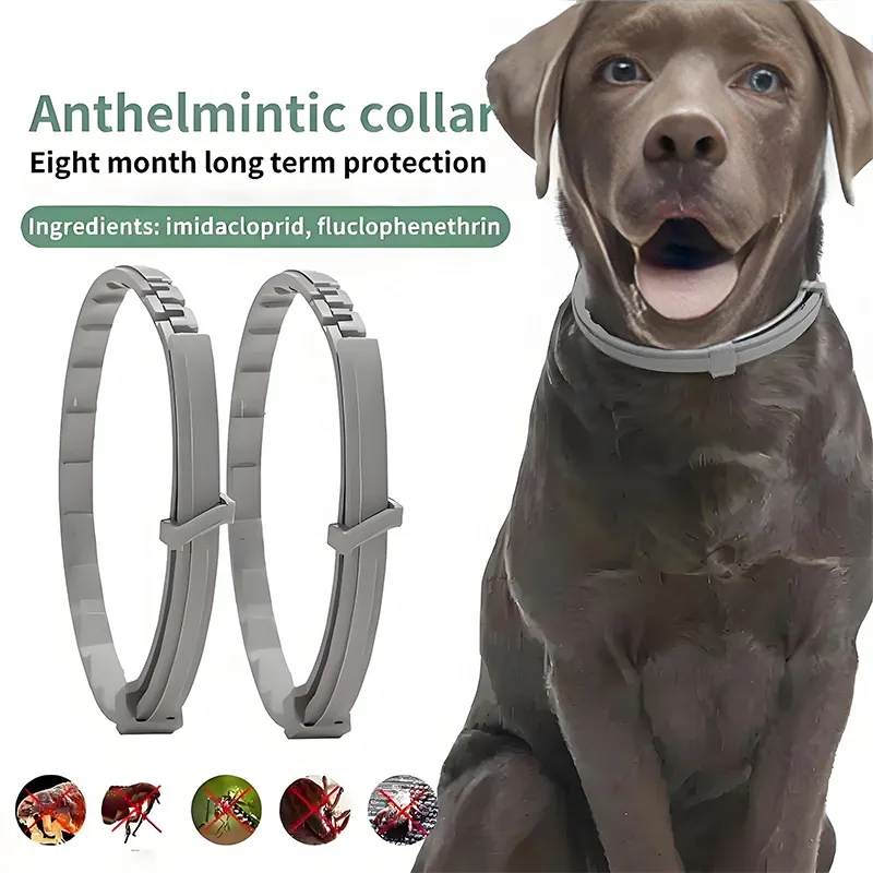 Collar antipulgas para mascotas, Collar antipparasitario para gatos, protección para perros, collares retráctiles, accesorio para cachorros, anillo de desparabricación externo ﻿