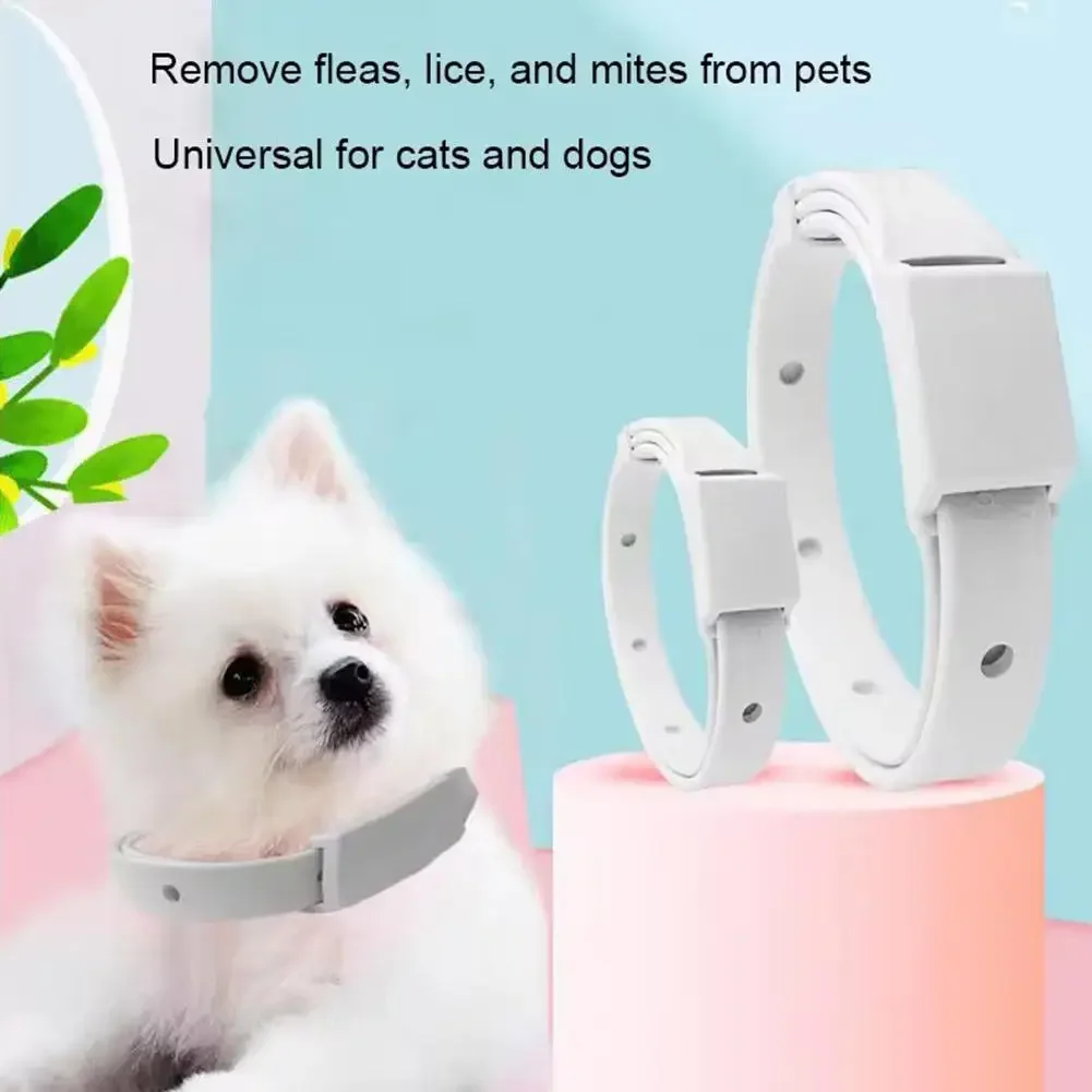 Flea And Tick Collar Silicone Adjustable Dogs Cats Collar 8 Month Protection Anti-mosquitoes Insect Repellent Pet Supplies Pets