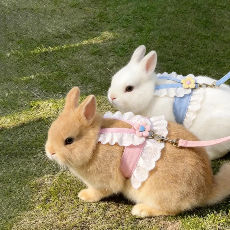 【IN Stock】 Adjustable Lace Flower Bunny Harness Leash Breathable Mesh Anti Escape Walking Vest For Rabbit Guinea Pig Small Animals