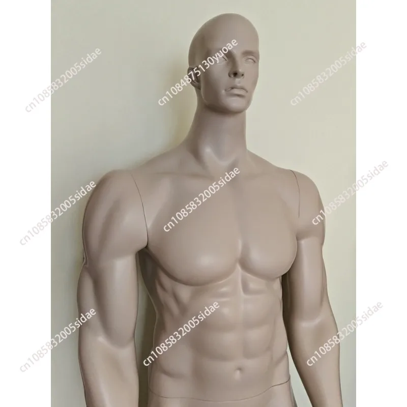 

Манекен-муляж мужчины с мускулистым телосложением для демонстрации спортивной одежды, полноразмерный, большой размер, для фитнес-магазинов