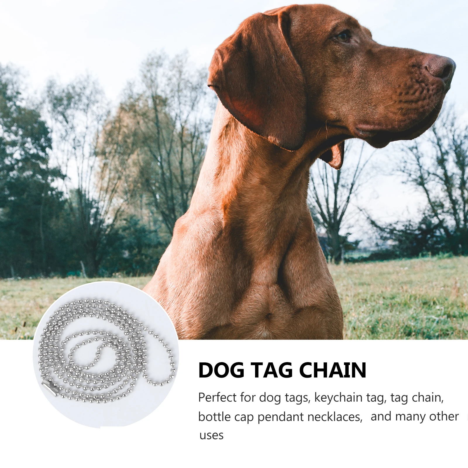 

10 Pcs Dog Tag Chain Pet Necklace Alloy Replacement Ball Chains Adjustable Length Non Nickel Pet Supplies Dog Accessories