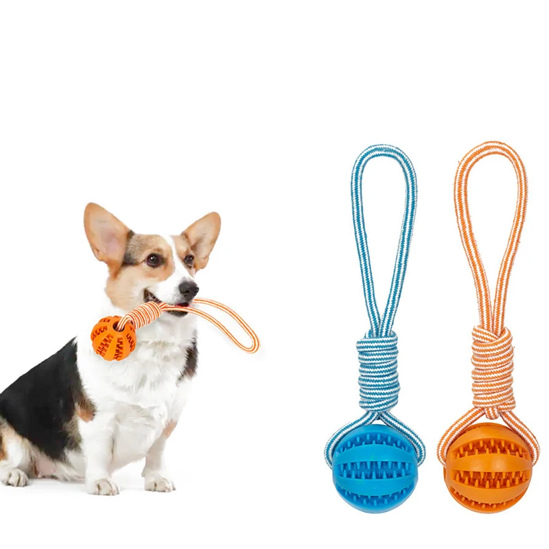 Dog Ball Toy with Rope Interactive Leaking Balls for Small Large Dogs Bite Resistant Chew Toys Puppy Training Pet Accessories