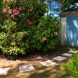 1pc Outdoor garden courtyard Imitation stone Stepping stone Stepping stone Lawn passage Decorative floor masonry brick