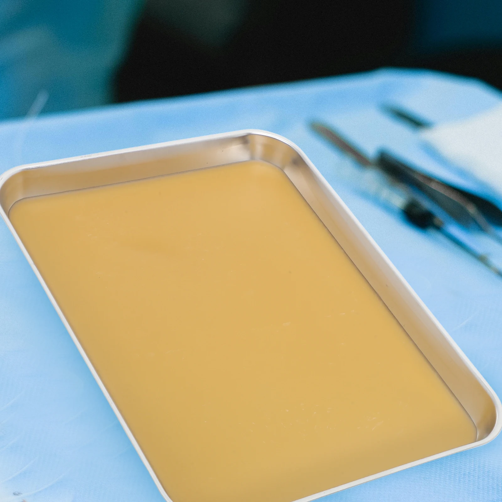 

Experiment Equipment Anatomy Tray Stainless Steel Dissection Trays for Students