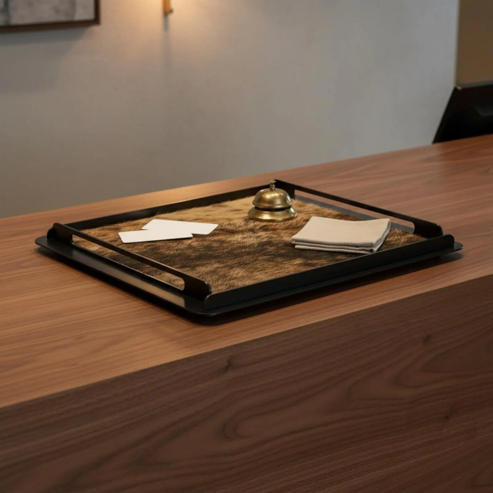 Horsehair Decorative Tray Creative Decoration Metal Frame Vanity Tray Modern Luxury Serving Platter for Living Room, Showroom view 6