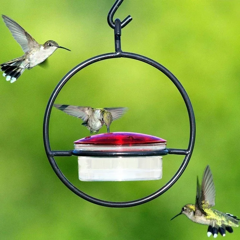 1PC Beautiful Hanging Hummingbird Feeder Metal Bottle Humming Bird Feeder With Circular Metal Holder And Perch