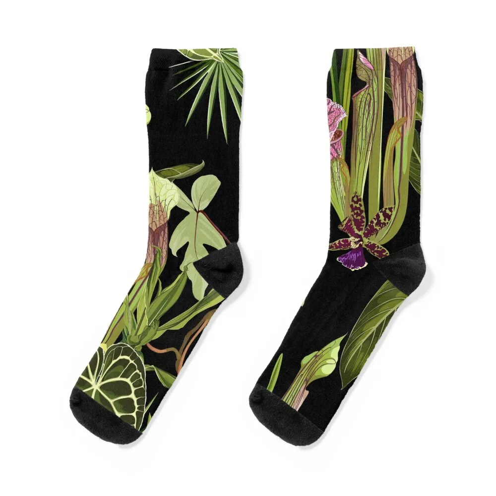 Jungle rainforest. Sarracenia, genus of carnivorous plants. Monkey cups exotic liana plant. Socks