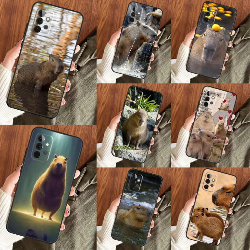 Animal Funny Capyba…