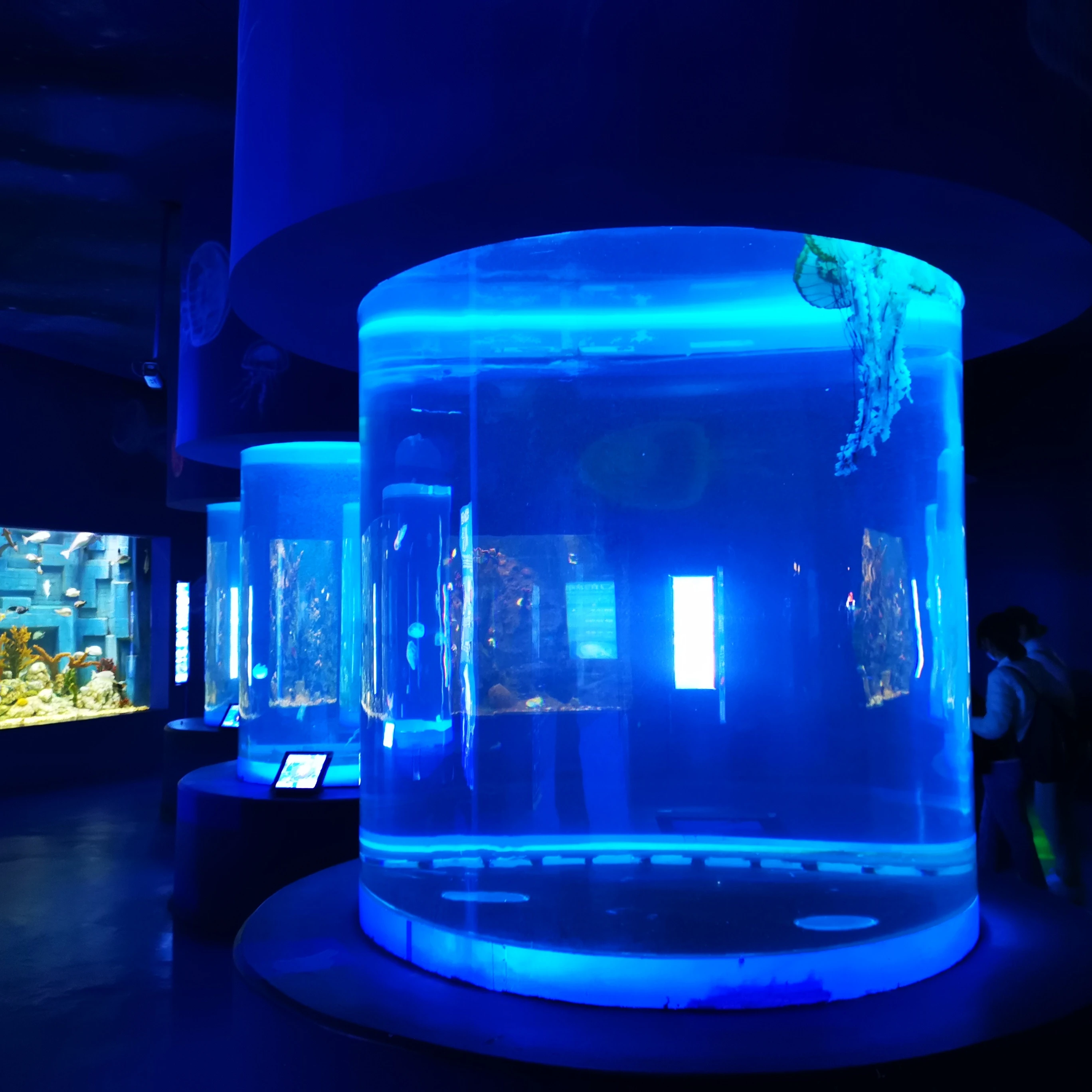 Lightweight Clear Cylindrical Aquarium Fish Tank, Mini Round Fish Habitat for Desktop Home Ornament with Smooth Safe Edges