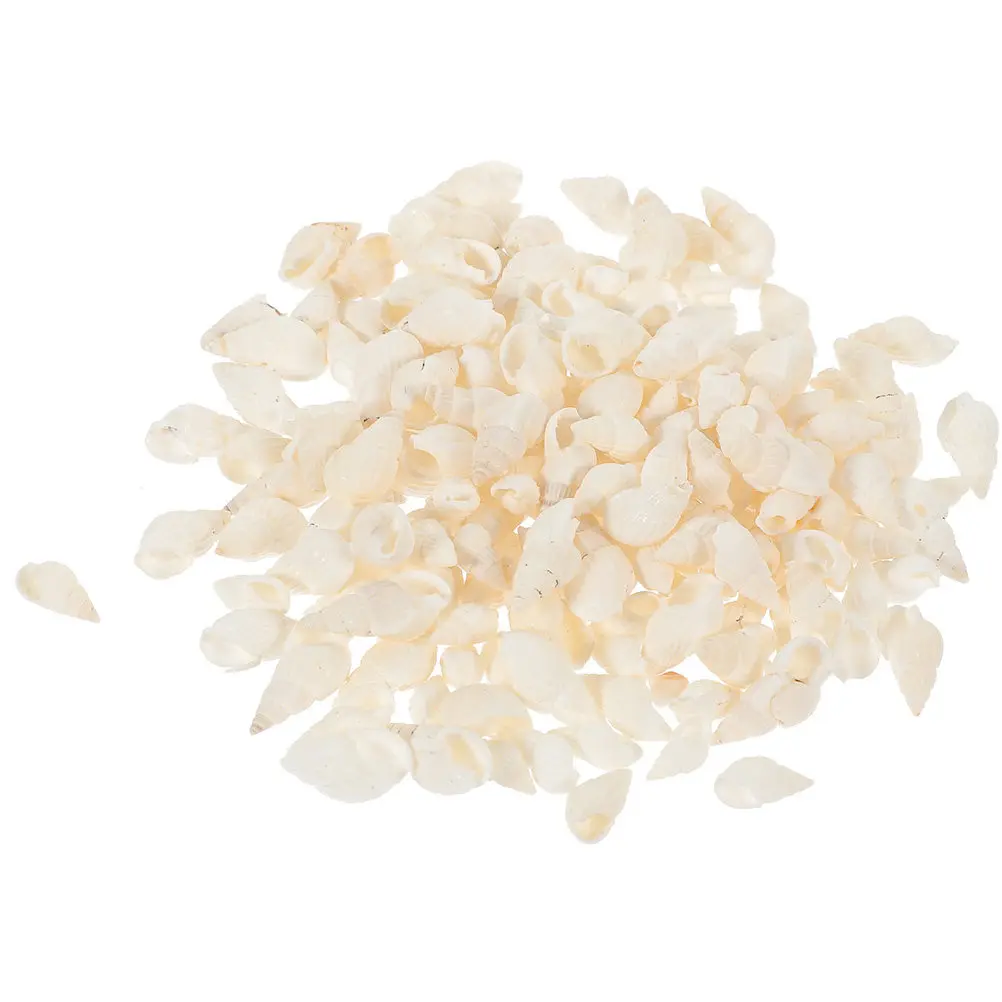 400pcs Natural Conch Shells for Aquarium Decoration – Smooth Edges, Fish Tank Landscape, Seashell Decor