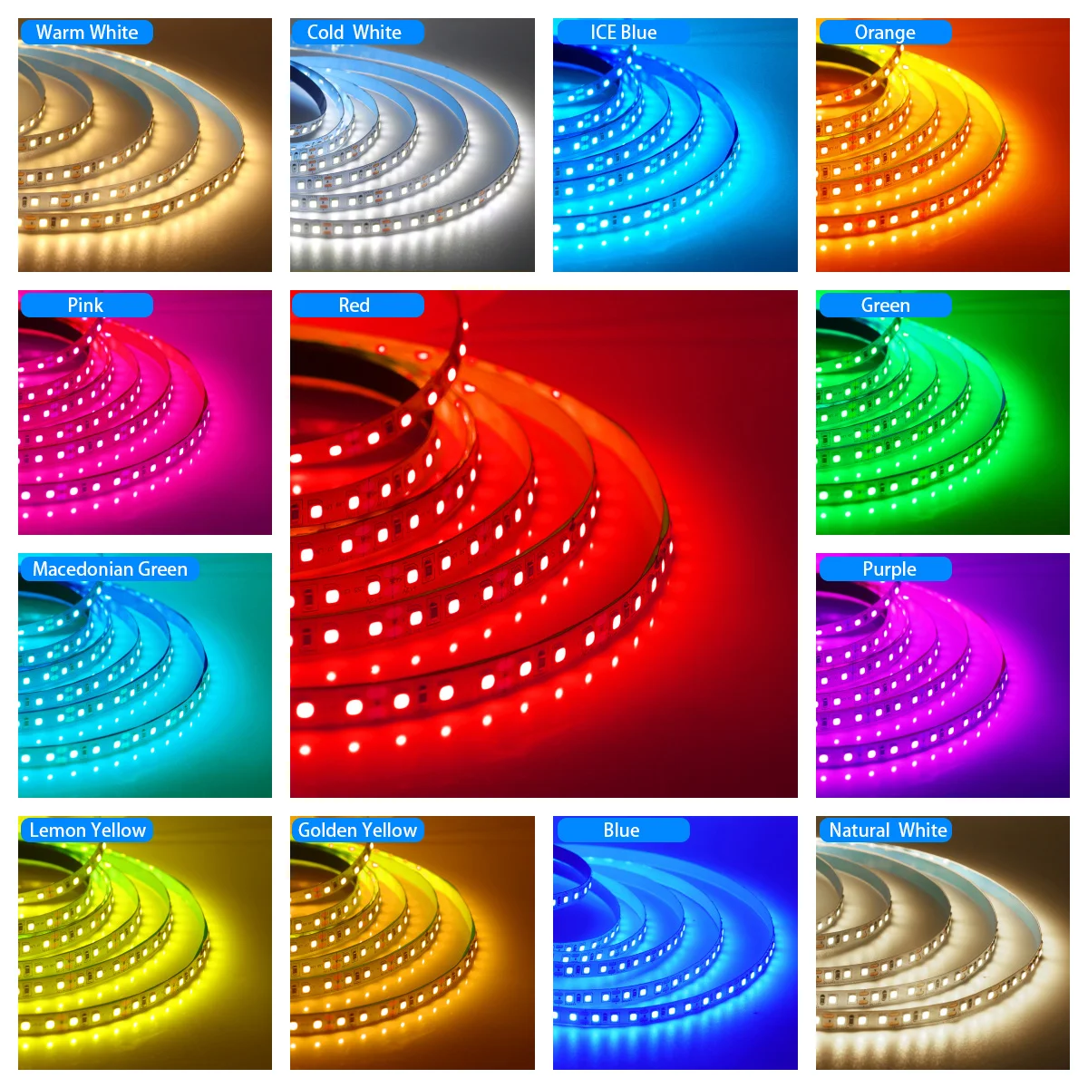 Super Bright Led Strip Light 5m 10m 12V 24V 2835 120LED/m Dimmable Flexible LED Tape 2 Pin Wire Home Decoration 13 Colors New