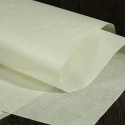 Yan Pi Xuan Paper Ancient Ultra-thin Cicada Wing Half Ripe Rice Paper Brush Pen Calligraphy Painting Writing Copying Thin Papier