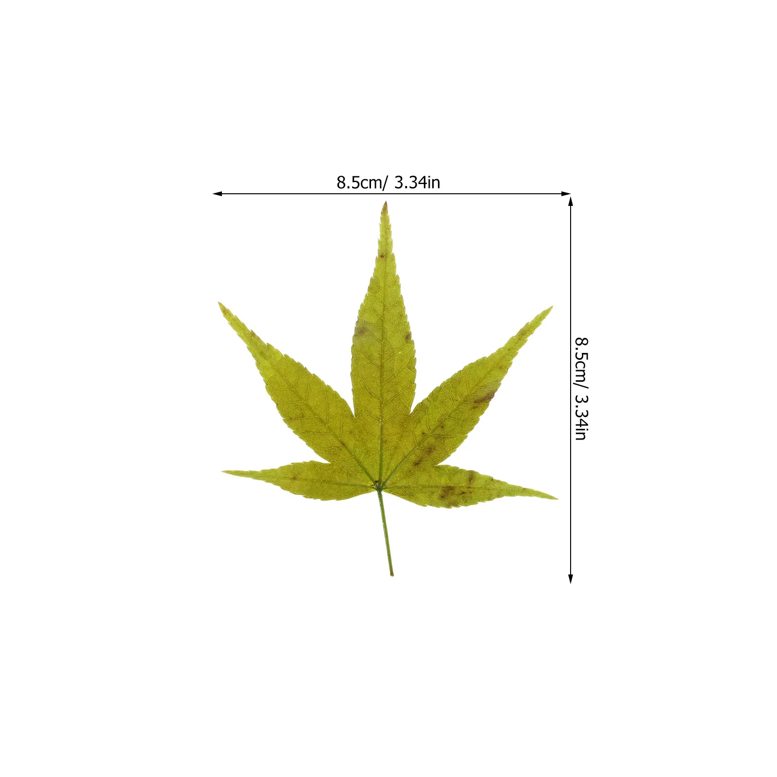 Natural Maple Leaf Sushi Sashimi Tray Japanese Decorative Leaf Platter Sushi Serving Food Photo Backdrop Festival Party Plating