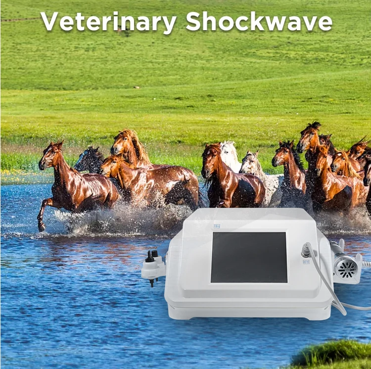 Reusable Horse & Dog Electric Massage Device with Radial Shockwave Therapy 200W CE Certified for Muscle Relaxation & Pain Relief