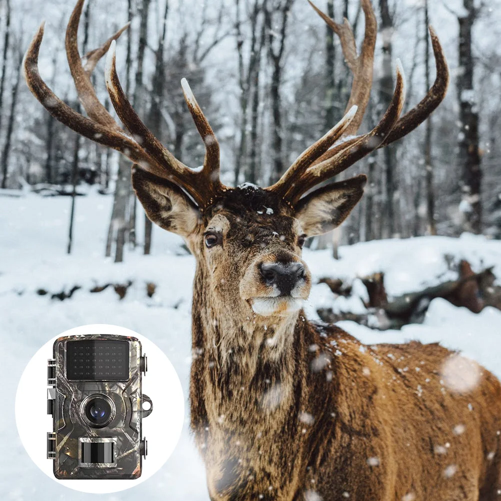 12Mp Trail Camera W… - image