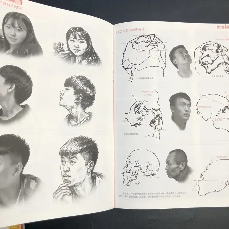 Buriman's Human Body Structure Tutorial: Art Mastery Collection Sketches, Basic Drawing Techniques, and Dynamic Anatomy Guide