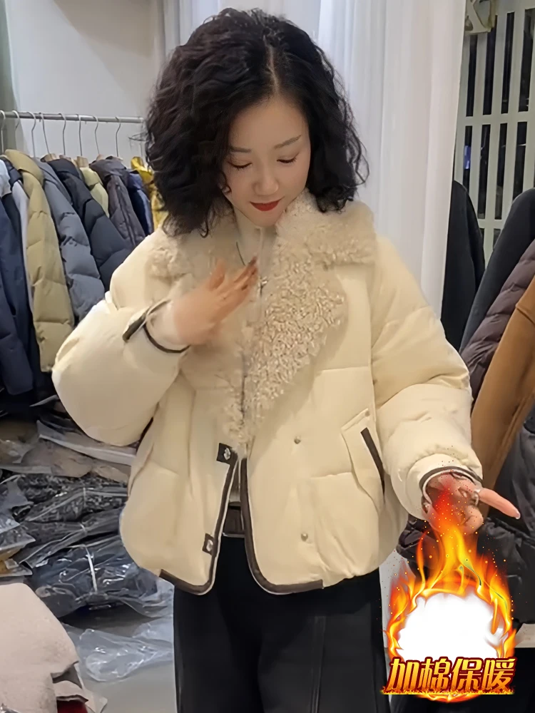 

Ladies' Sli ort Thiened down Cotton Jaet Winter Warm Outerwear Korean Sle Commute Loose Fit Pure Color Coat