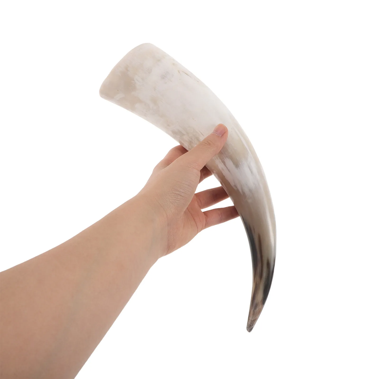 2 Pcs Horn Wall Hanging Vase Flower Home Decoration Animal Cow Horns for Decorating Decorative Bull