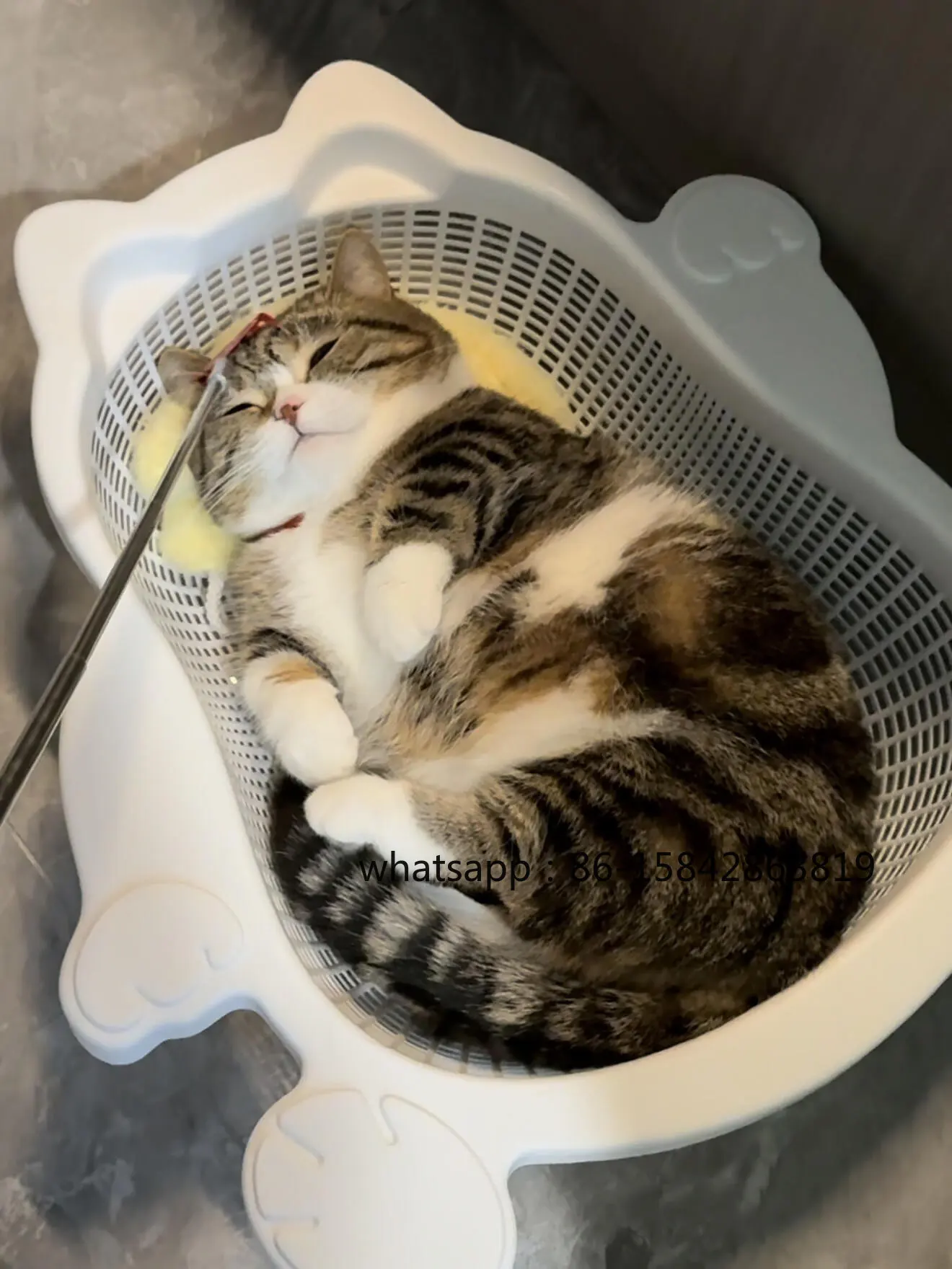 Cat Litter, Breathable and Cool in Summer, Cat Bed, Comfortable and Scratch-resistant Cushion, Washable Pet Litter