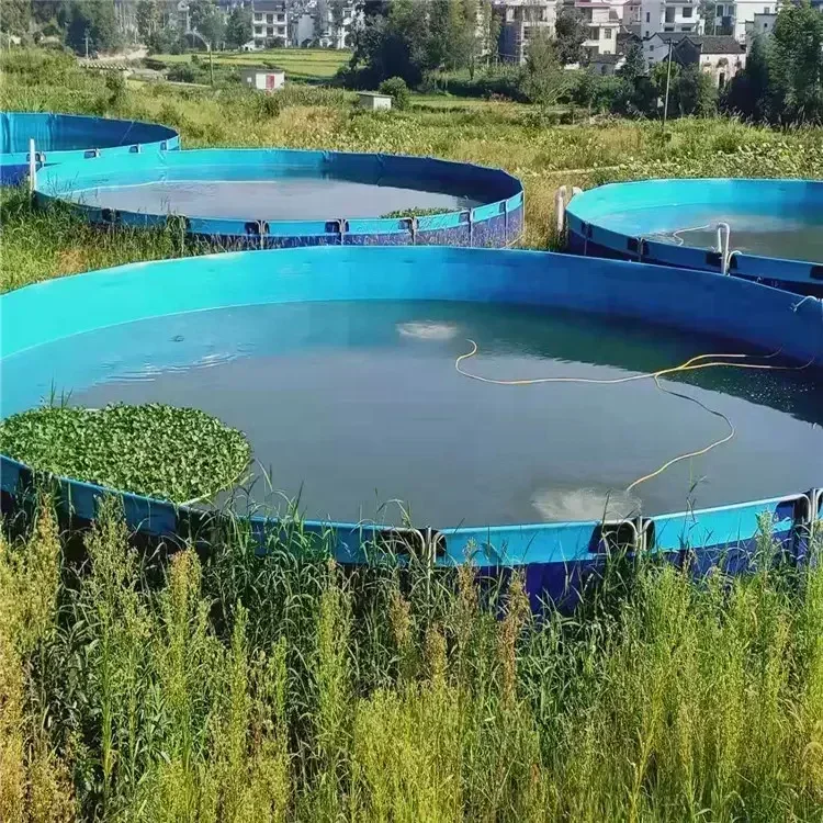 Fish Farm Tilapia Pond Fish Breeding Pool Tank Above Ground Tarpaulin Farming Cage Basin For Fish Farming