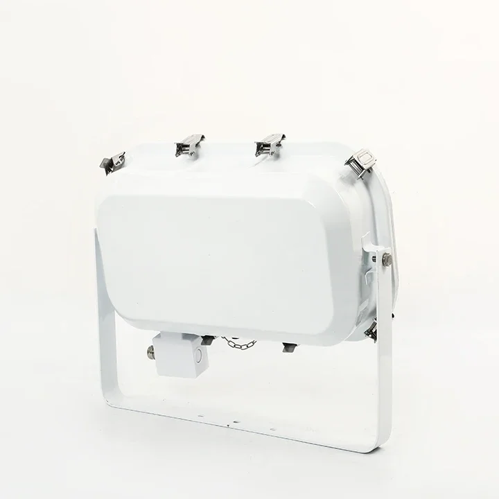50W Led Marine Flood Light For Fishing 3