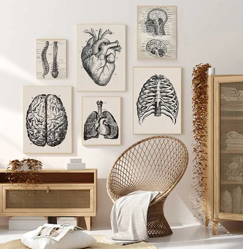 2026 Human Anatomy Artwork Medical Wall Picture Muscle Skeleton Vintage Poster Nordic Canvas Print Education Painting Modern Dec