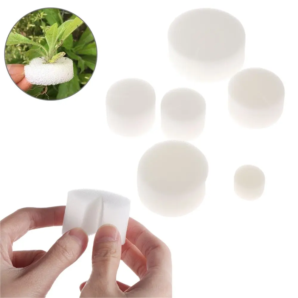

10/50pcs Durable Aquarium Planting Soilless Hydroponic Flower Pots Nursery Sponge Seed Trays