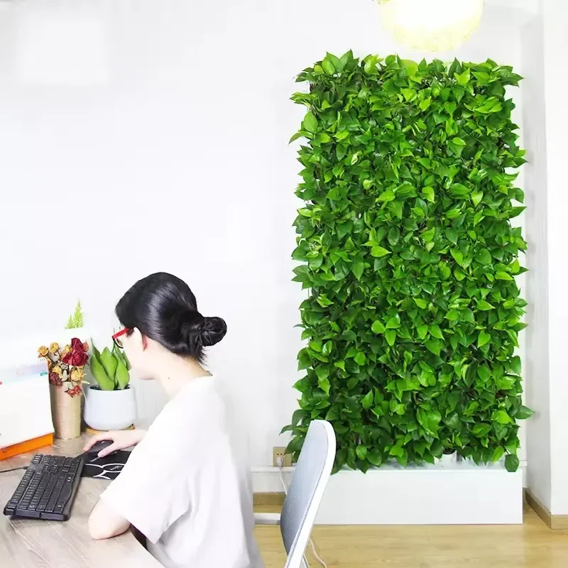 Hydroponics Indoor Kit 2 Square Meters Wall Hanging Hydroponic System Pump Smart Controller Automatic Irrigation Deep Water