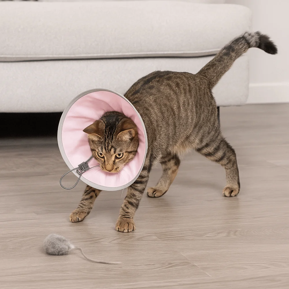 

Anti-licking Pet Elizabethan Collar Waterproof Adjustable Cat Protective Collar Anti Biting Soft Small Dog Headgear