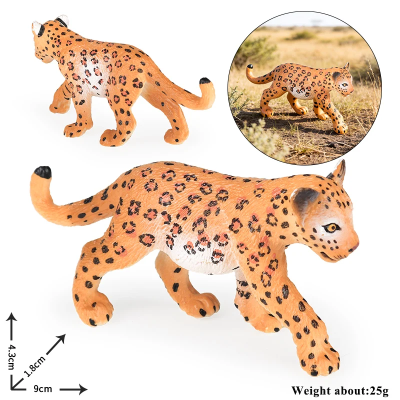 Oenux Wild Animals Action Figures Fox Koala Wolf Lizard Fox Monkey Woodpecker Model Figurines Home Decor Education Kids Gift Toy - view 5