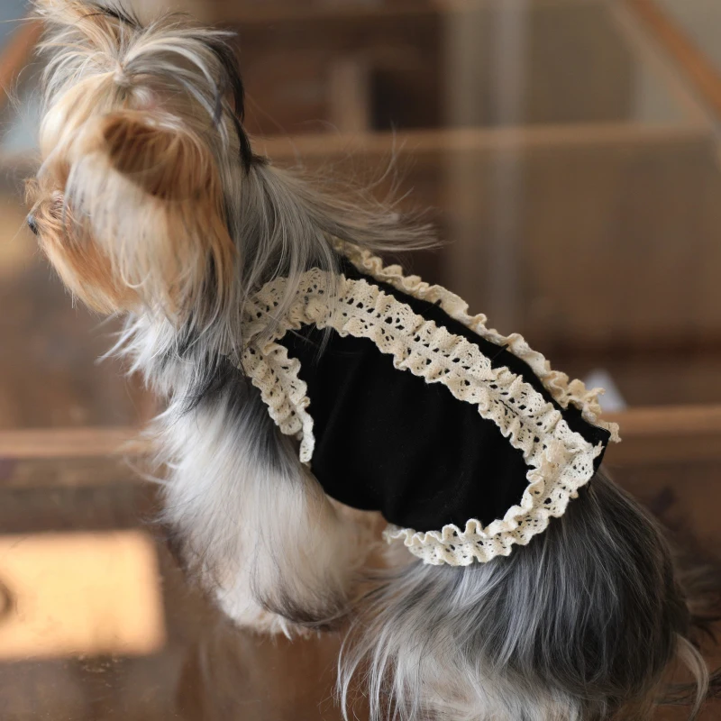 Disfraces de primavera para perros, chaleco, ropa para cachorros y gatos, Chihuahua, Yorkie, Pomerania, Shih, Tzu, caniche maltés, Bichon, Schnauzer, ropa