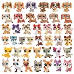 Mini Pet Shop Pets 5pcs Random and 7pcs Random Accessories Kids Gift Rare for lps