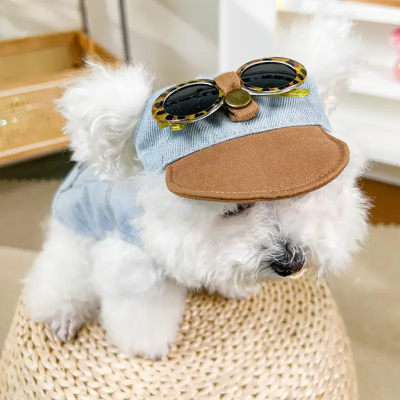 Haustier-Sonnenhut mit Sonnenbrille mit Leopardenmuster, Sommer-Fischerhut für Hunde, Modeaccessoire für Straßenfotografie