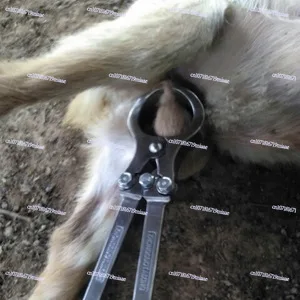 Stainless Steel Bloodless Castration Device Sheep Cattle Castration Pliers Veterinary Sheep And Cattle Fans Animal Care Equipmen