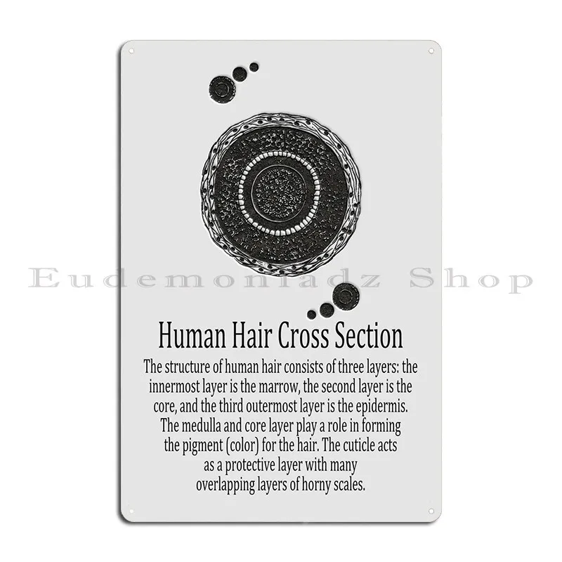 Human Hair Cross Section Metal Sign Club Funny Garage Printed Bar Tin Sign Poster