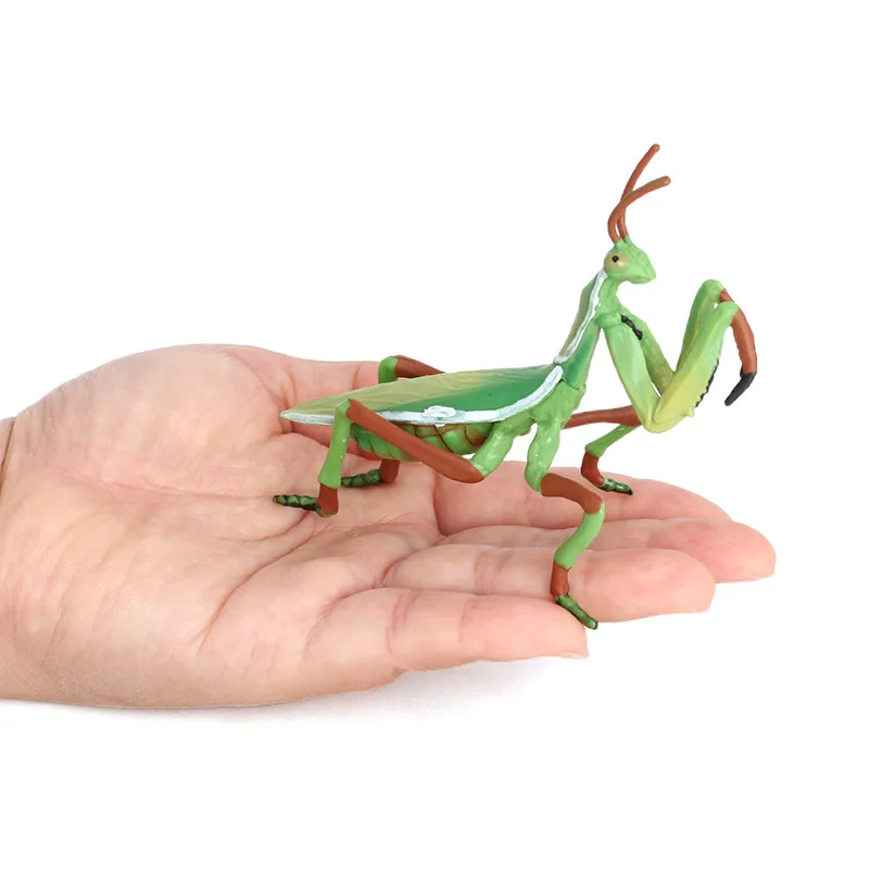 Static solid simulation insect animal model mantis knife giant grasshopper children's toys cognitive teaching aids ornament figu