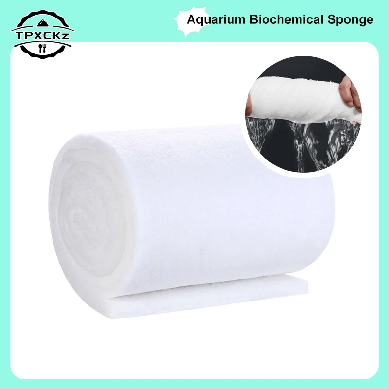 3Cm Thick Aquarium …