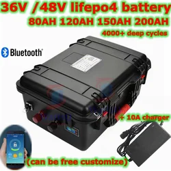 waterproof 48V 100Ah 200Ah 36V 100AH 150Ah lifepo4 lithium battery bluetooth APP for 5000w golf cart Tricycle + 10A charger