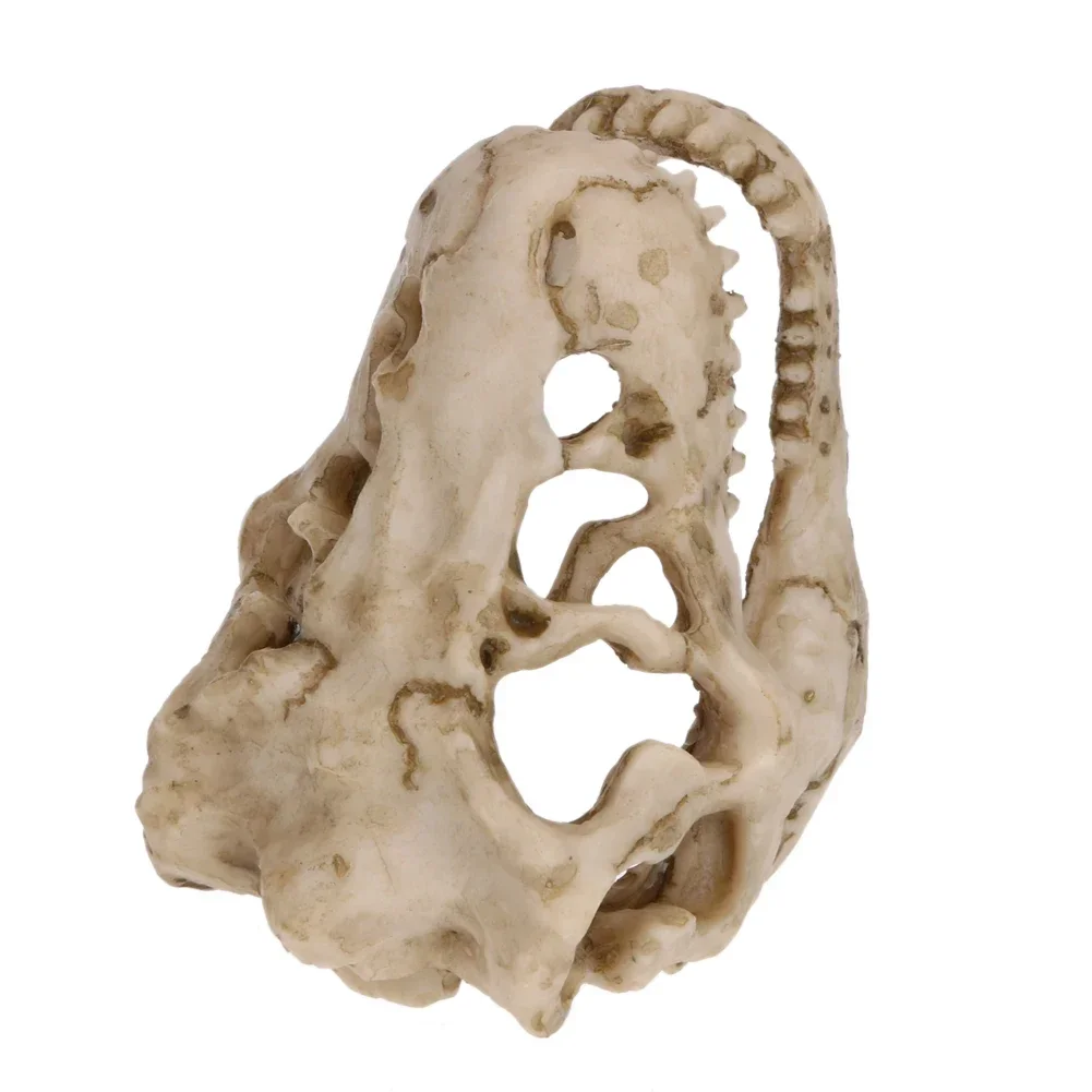Mini Resin Dinosaur Fossil Aquarium Ornament for Fish Tank Decor