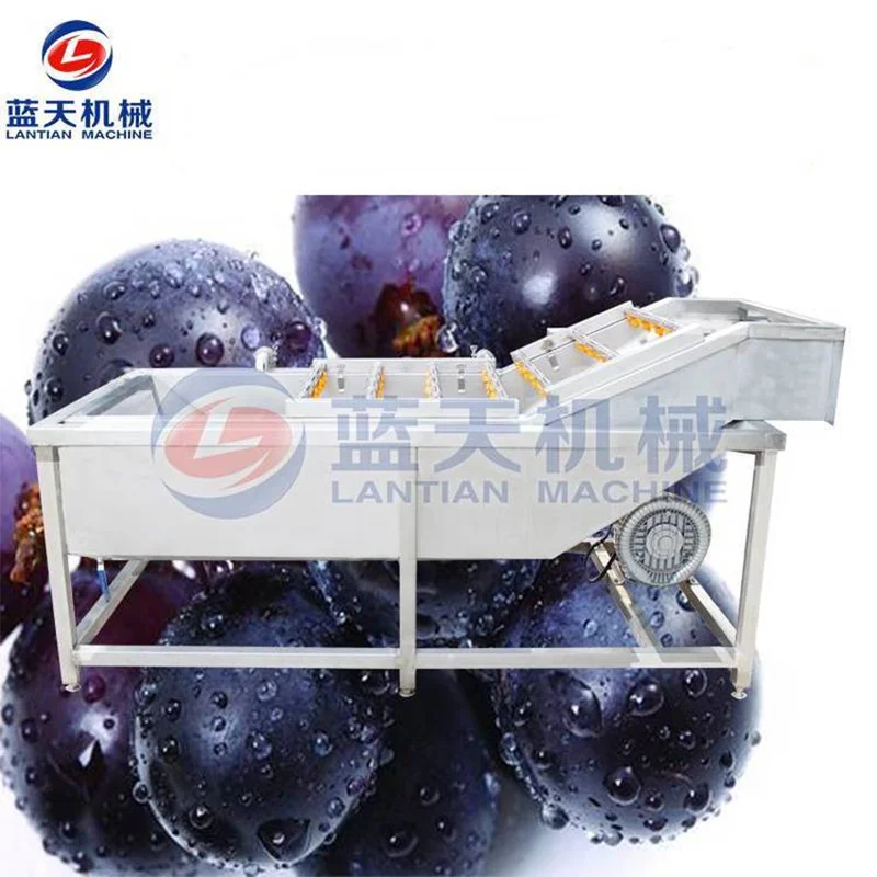 Automatic Bubble Washing Machine Jujube Blueberry Bubble Spray Fruit Washing Machine Citrus Orange Cleaning Equipment