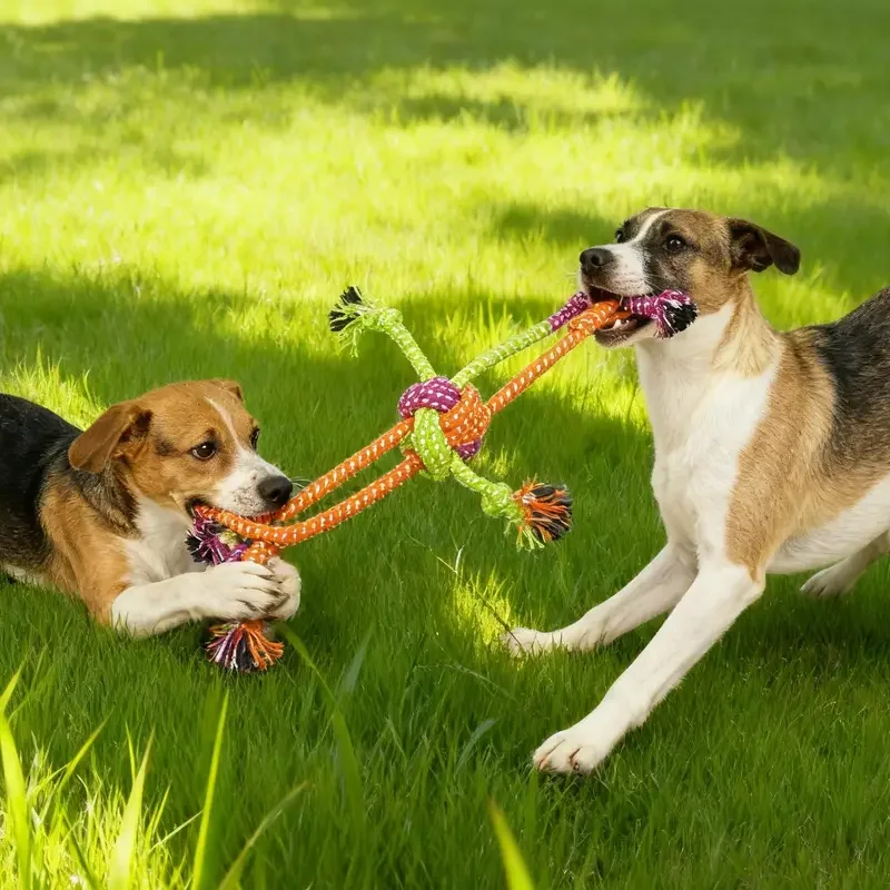 Thumbnail 2 - #33 Interactive Pet Toys List of Top Picks