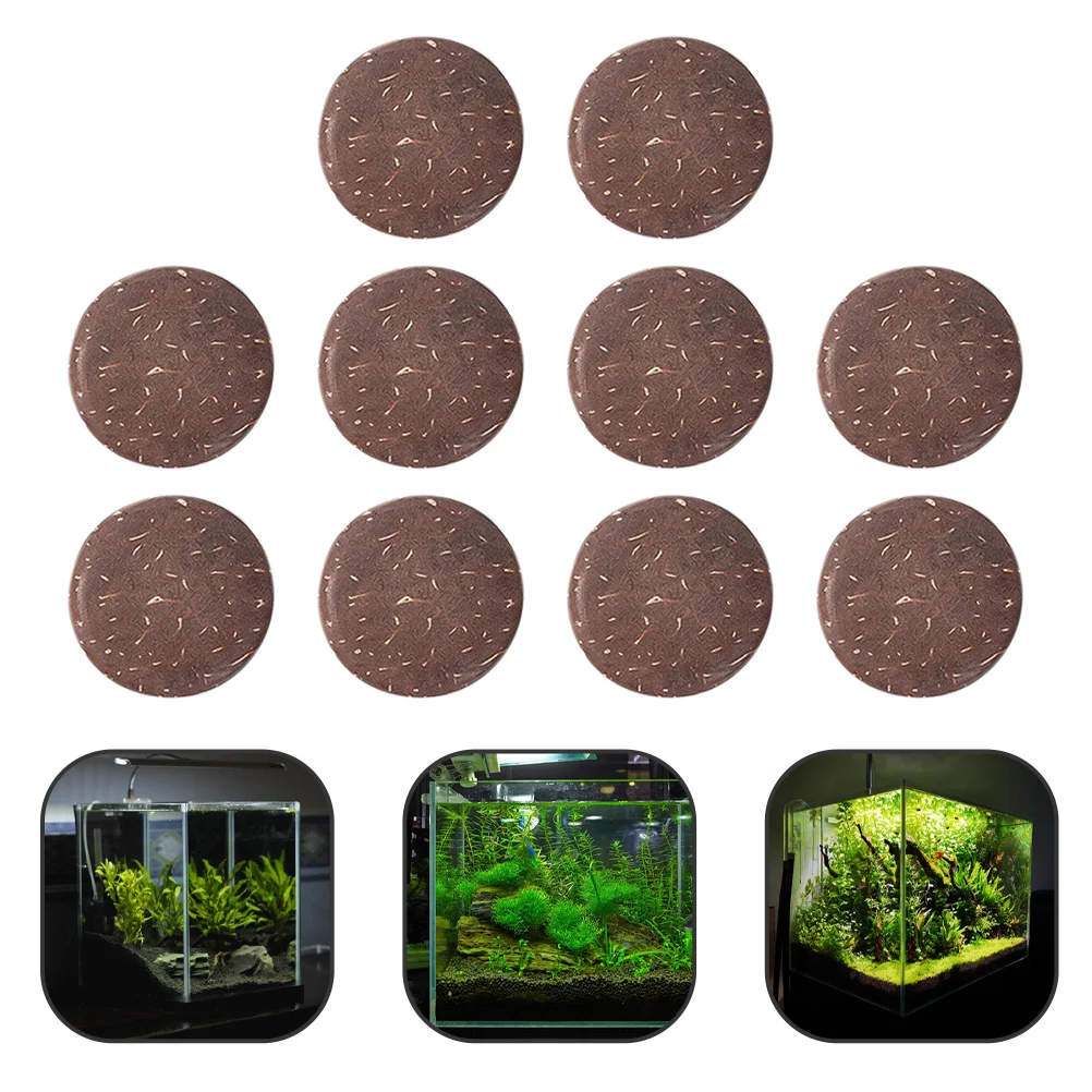 

10Pcs Fish Tank Decorative Coconuts Shell Discs Scenic Natural Elements DIY Aquarium Landscape Craft Supplies DIY Sand Table Kit