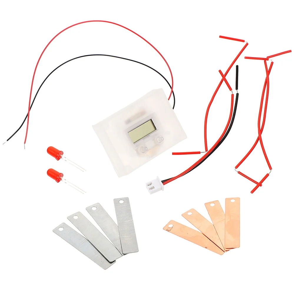 

2 Sets Fruit Experiment Kit Science Kits Electric Circuit for Kids Metal Education Student
