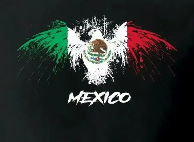 

Mexico Eagle Flag Black T-Shirt Men's 100% Cotton Casual T-shirts Loose Top Size S-3XL
