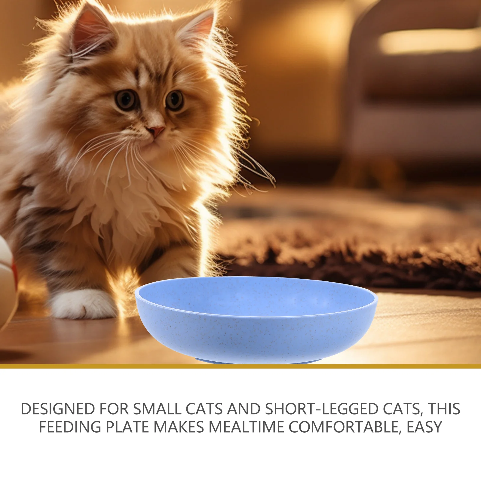 

6Pcs Shallow Cat Feeding Plates NonSlip Bottom Pet Supply For Small Kitten And ShortLegged Cats Easy To Clean Dishwasher Safe