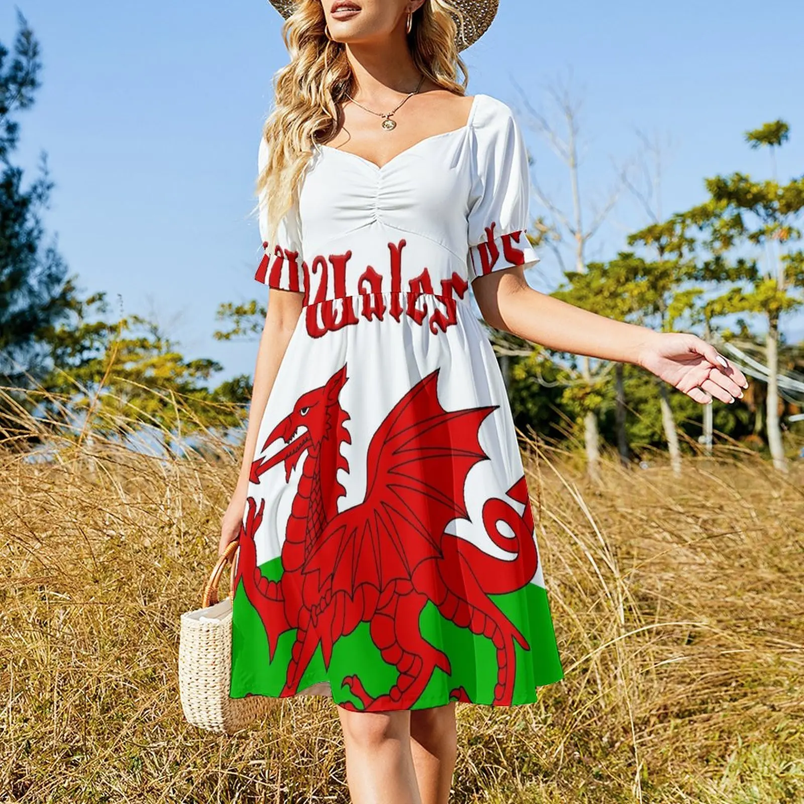 Wales Flag - Cymru Baner - High Quality Image Dress Summer skirt african dresses for woman