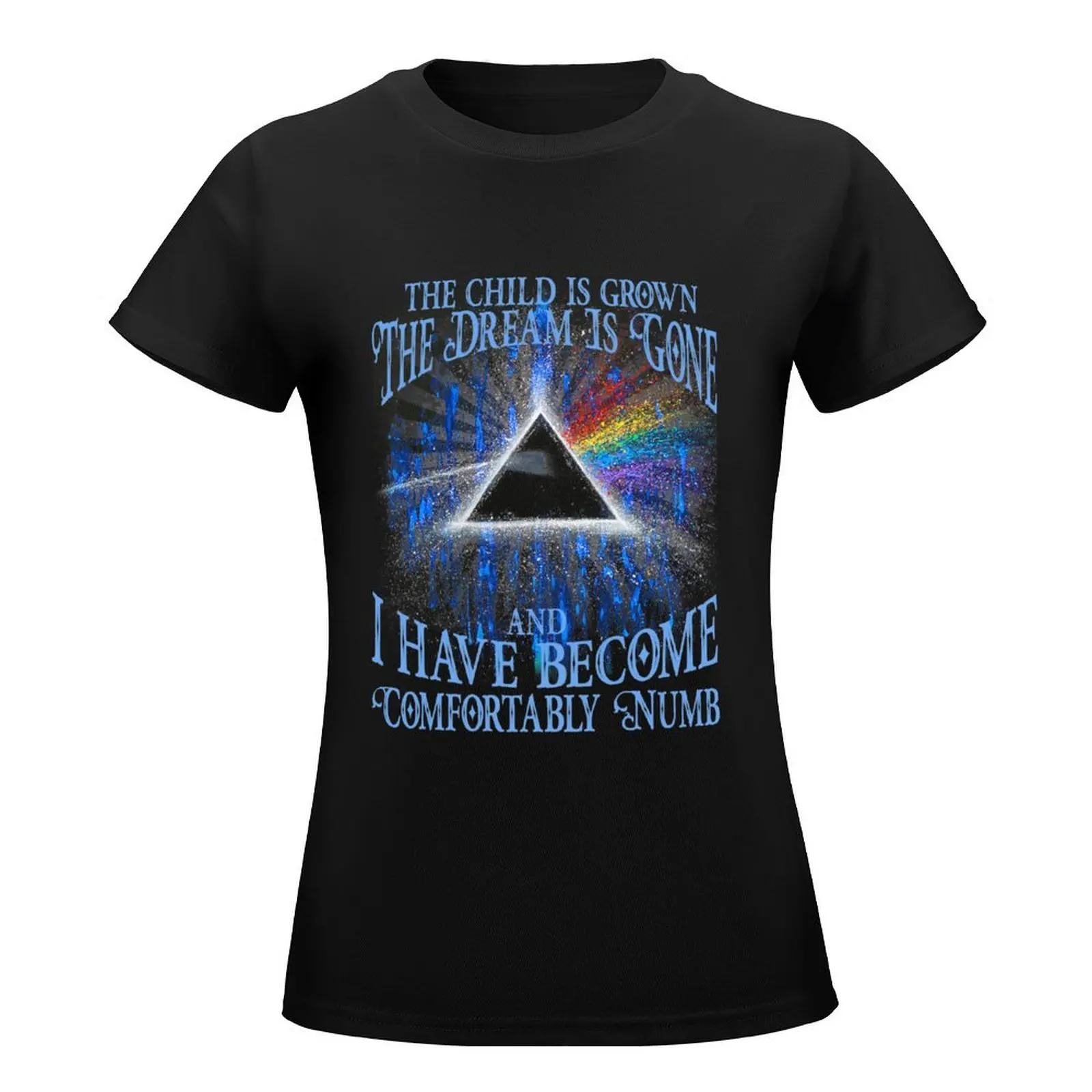 The Child is Grown The Dream is Gone IHAVE Become Comfortably Numb T Shirt 1 T-Shirt plus sizes female black t shirts for Women