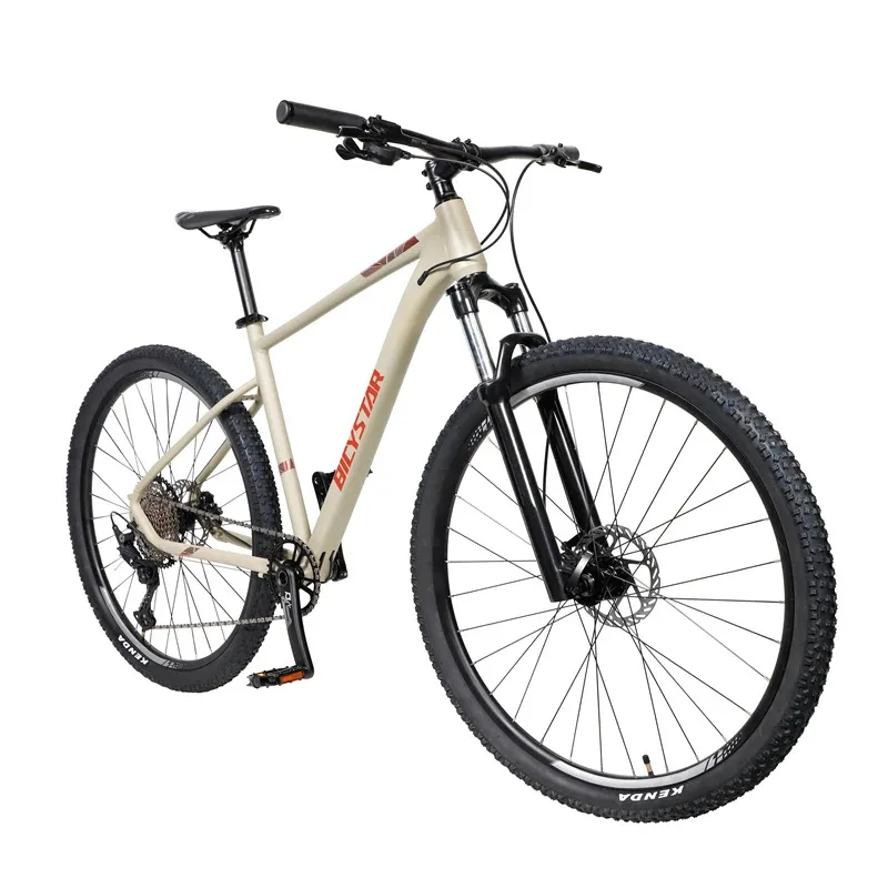 Factory Hot Selling 29 Large Size Bicicleta De Montana Mtb Downhill 30 Speed Mountain Bike