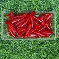 XZ018 50PCS 01