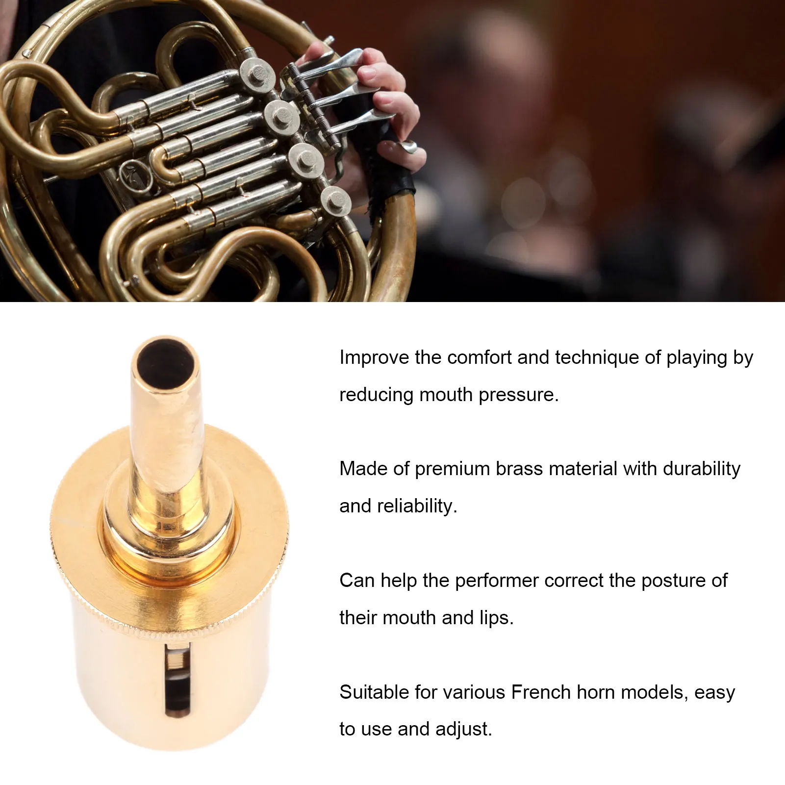 French Horn Pressure Reducing Valve Brass French Horn Mouthpiece Valve Instrument Accessory with Storage Box